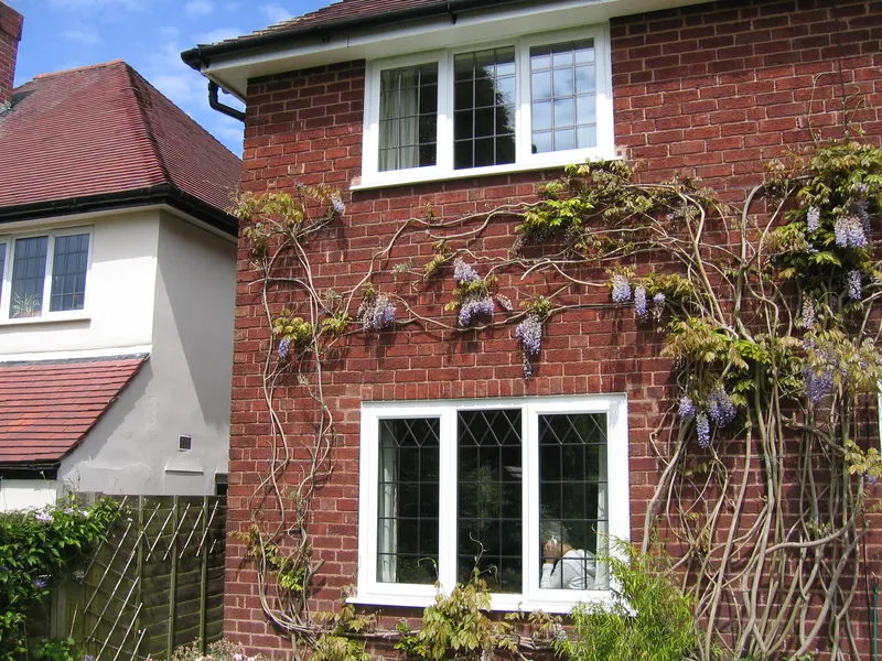 Edwardian Walthamstow